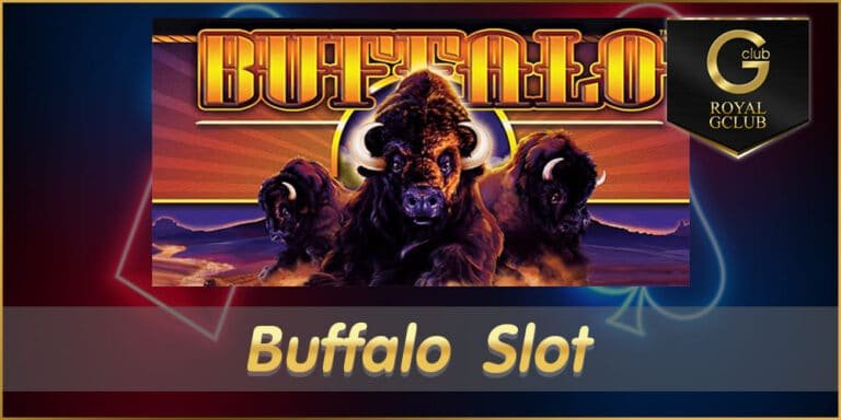 buffalo slot